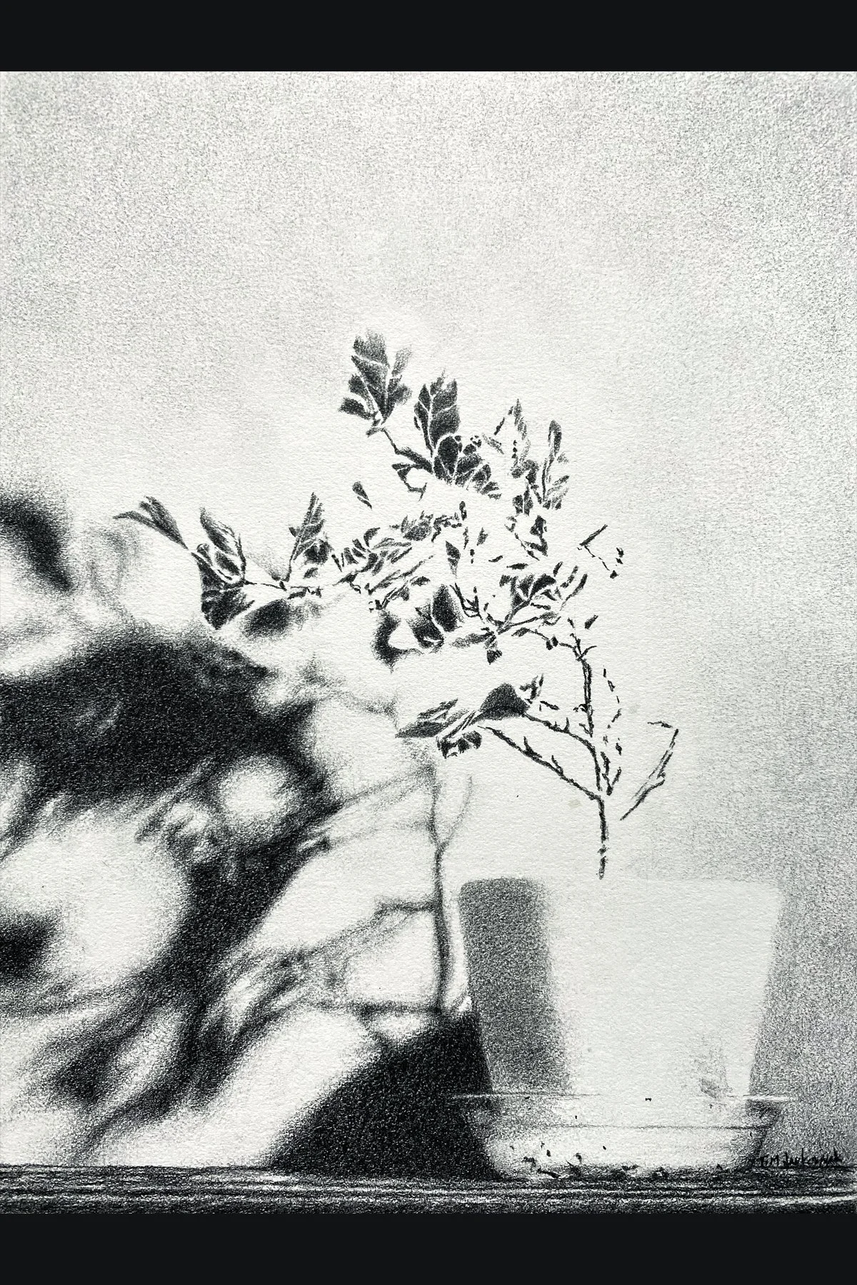 Shadow Play shop 1.jpg