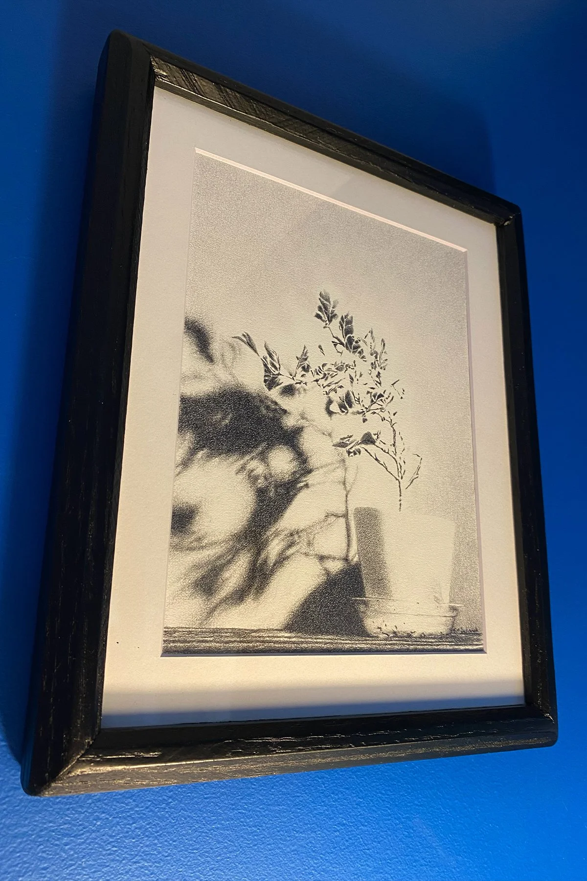 Shadow Play shop 3.jpg