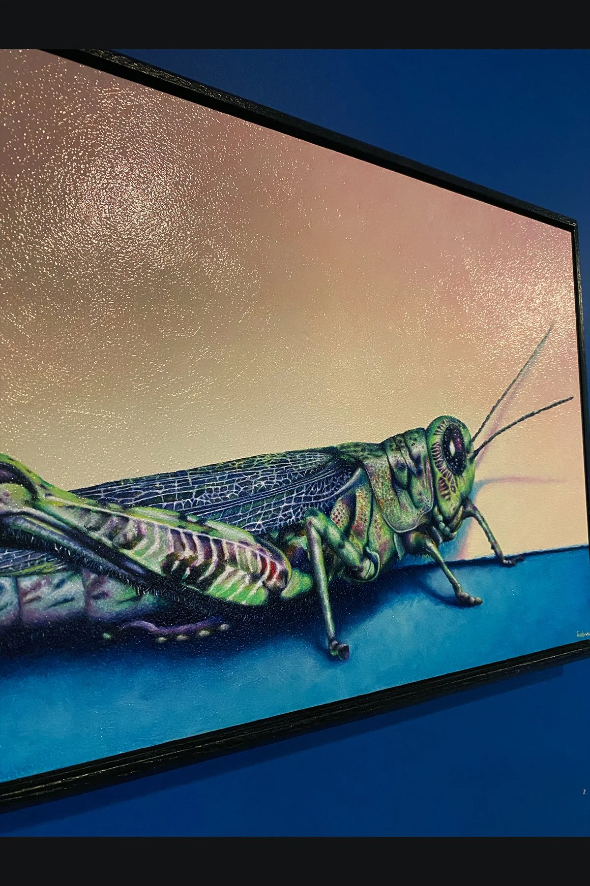 grasshopper shop 2.jpg