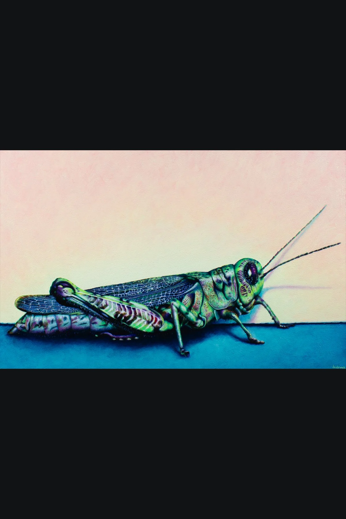 grasshopper shop 1.jpg