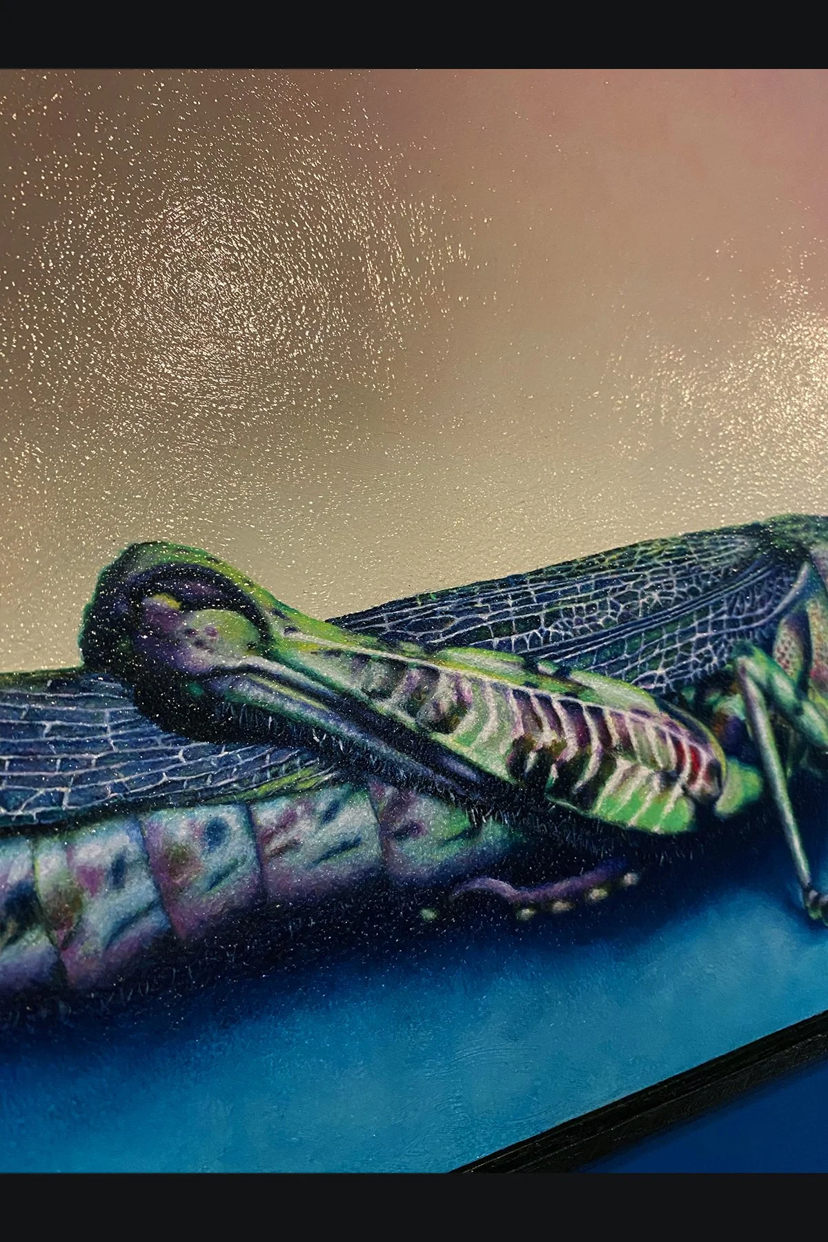 grasshopper shop 5.jpg