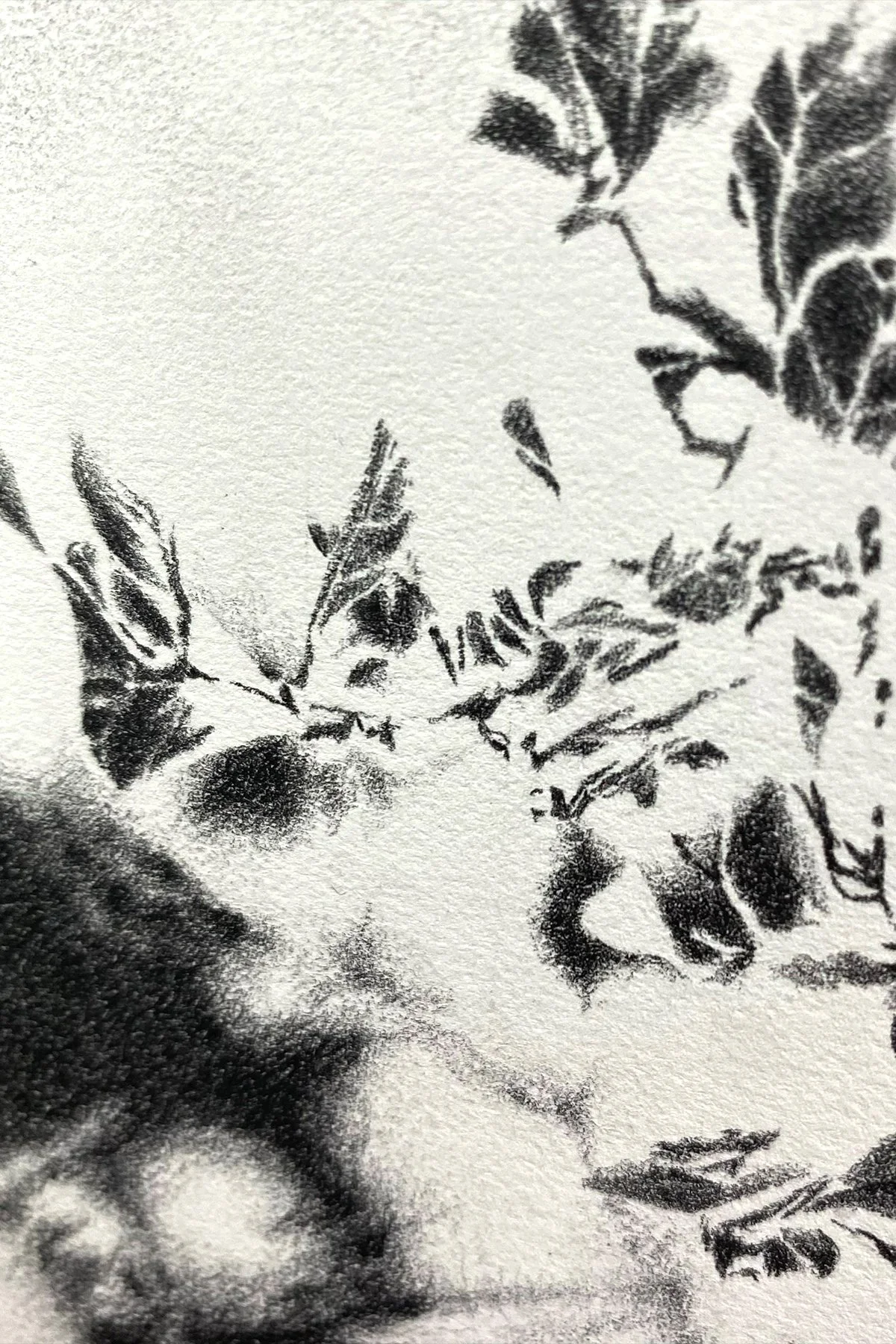 Shadow Play shop 2.jpg