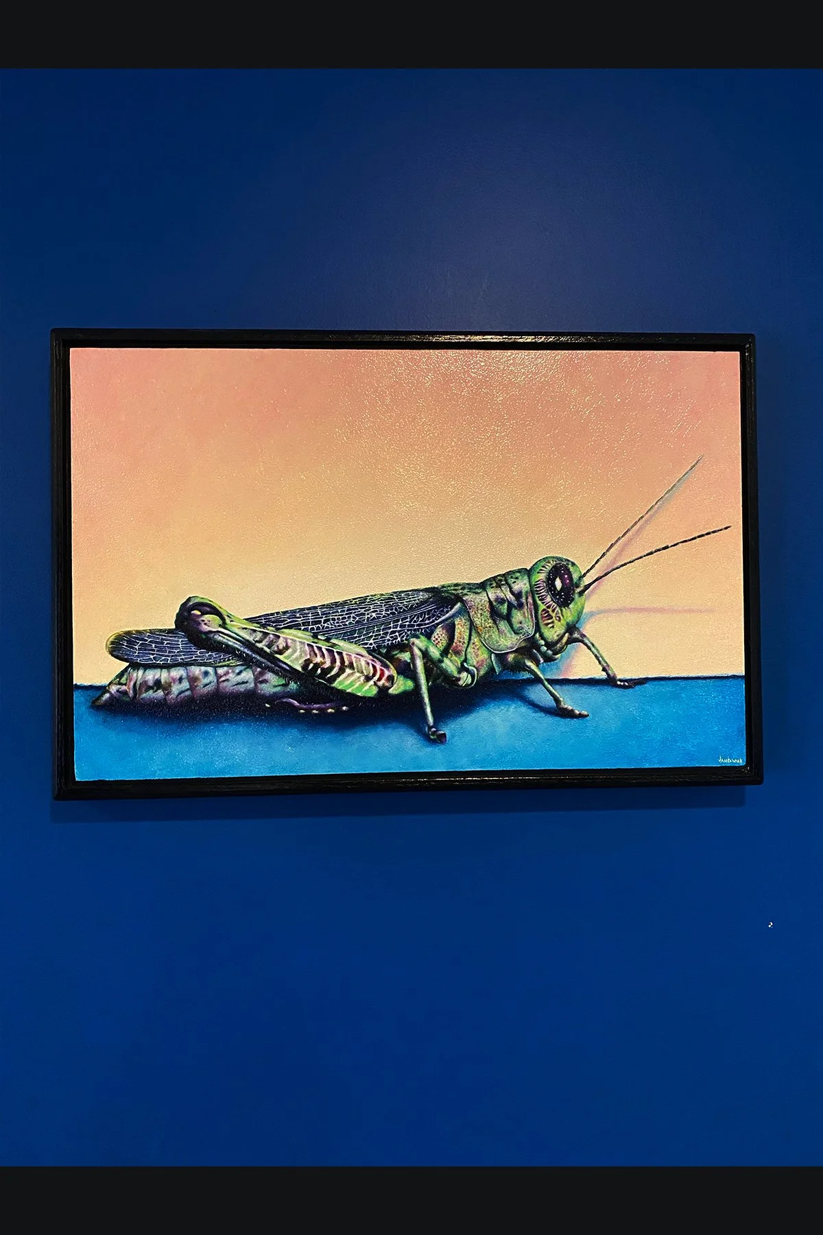 grasshopper shop 3.jpg