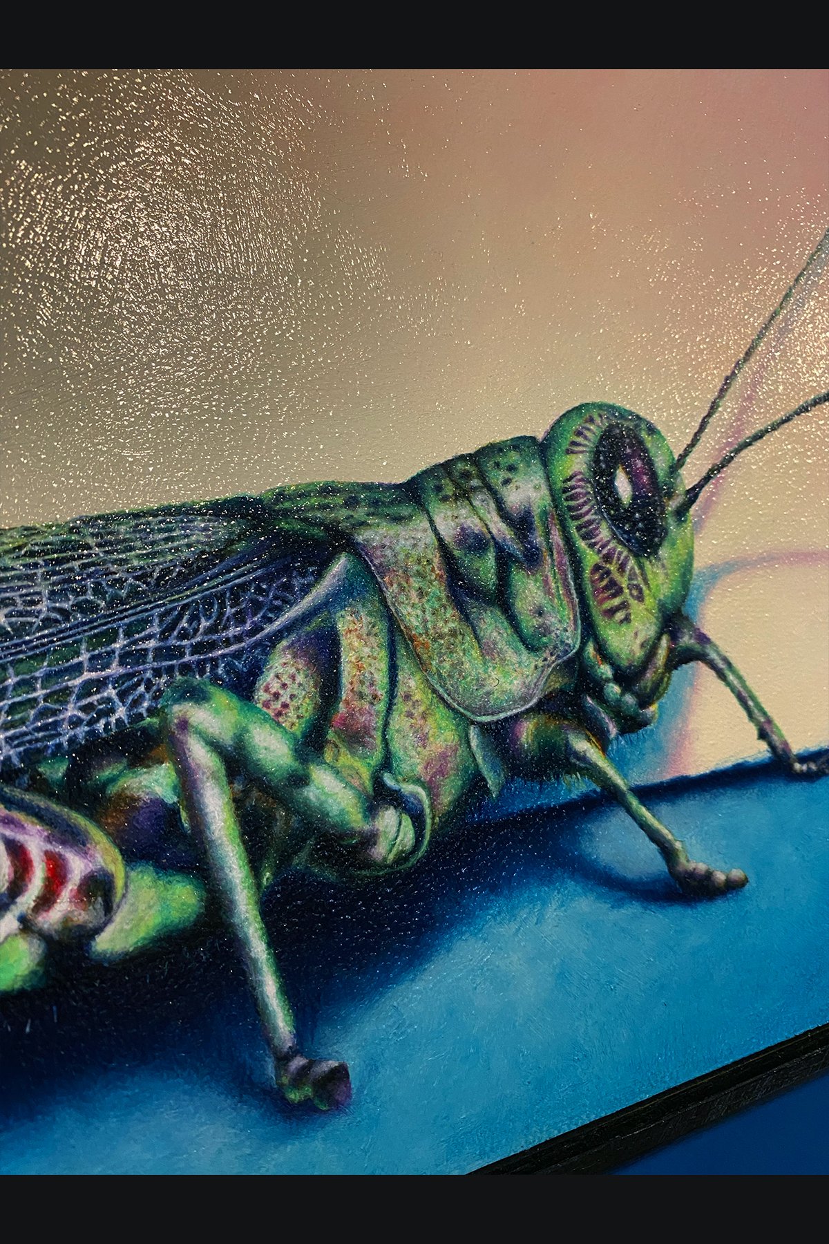 grasshopper shop 4.jpg