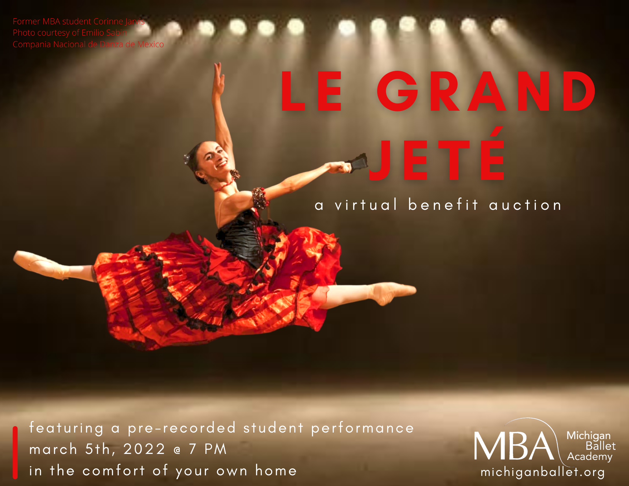 Le Grand Jeté - A Virtual Benefit Auction