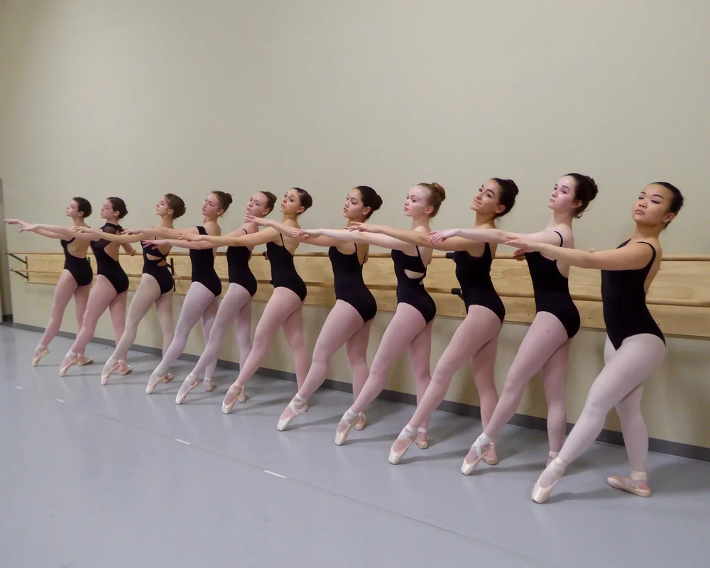 Michigan Ballet Academy