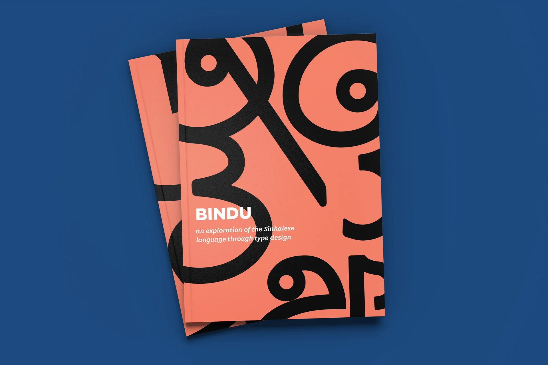 Bindu_Photography7.jpg