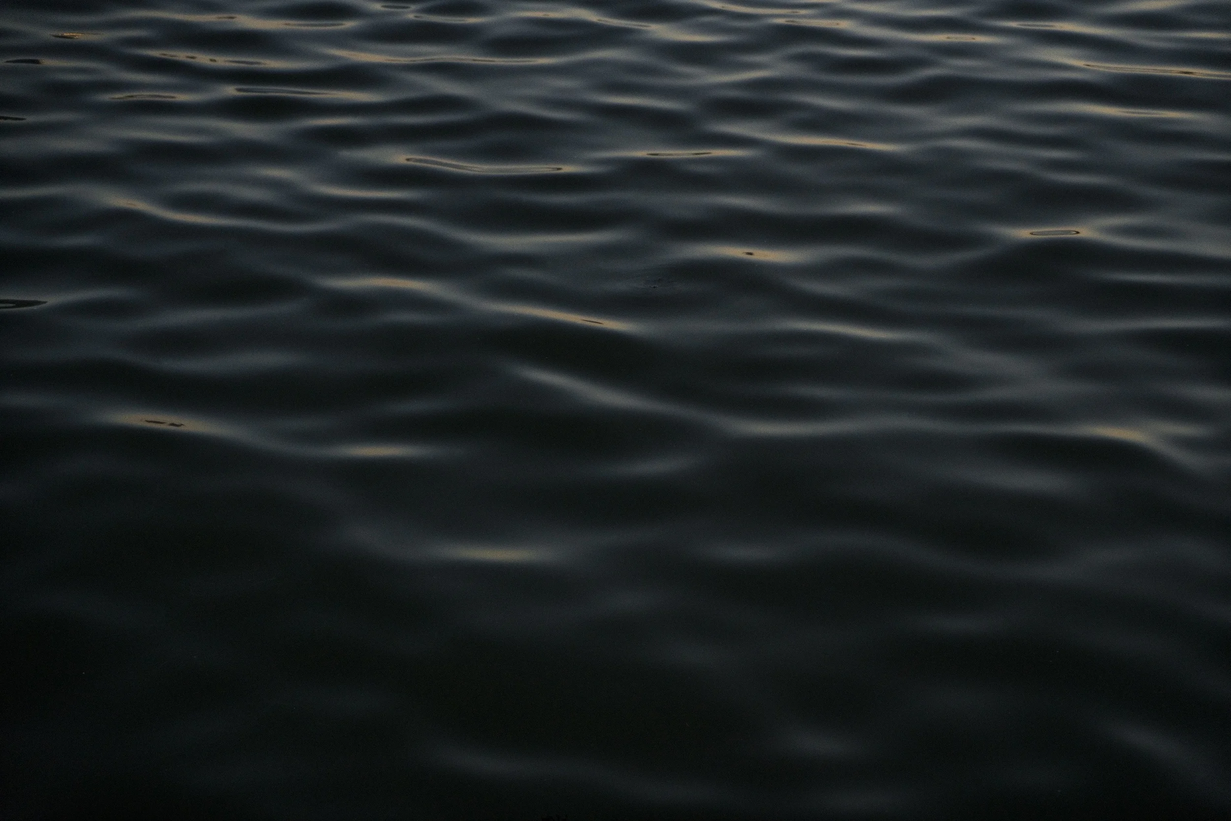 Image by Tobias Van Schneider