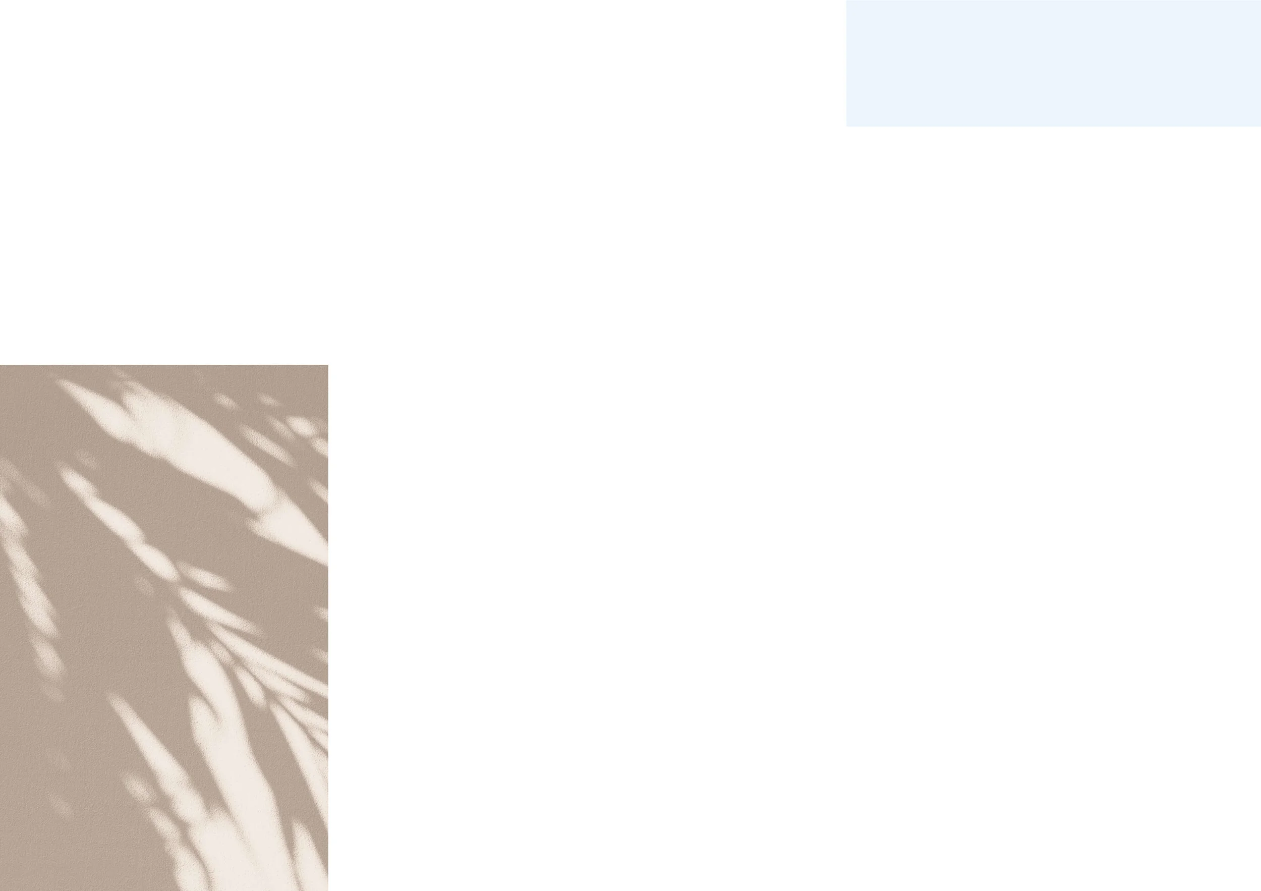 9_Services_Number 2_Banner.jpg