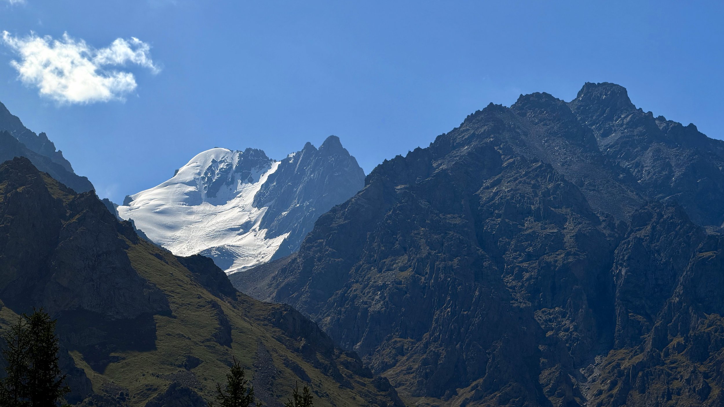 IMG_4508 copy.jpg