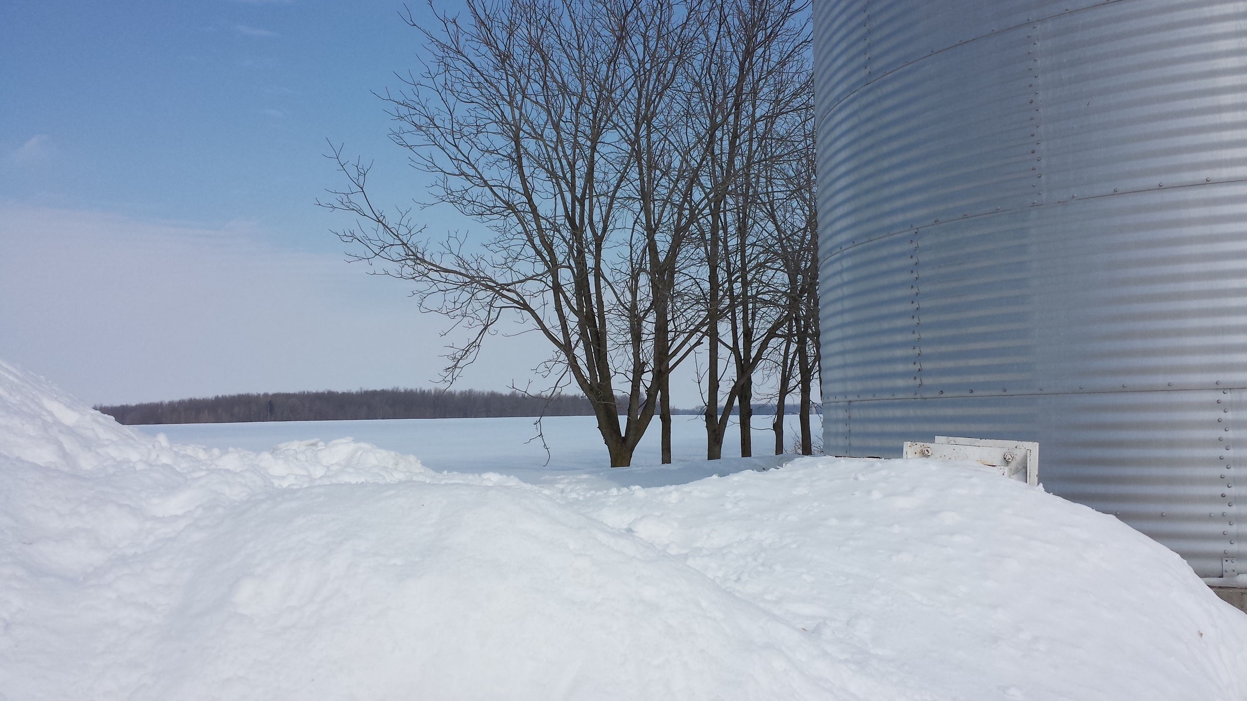 20150307_133134.jpg