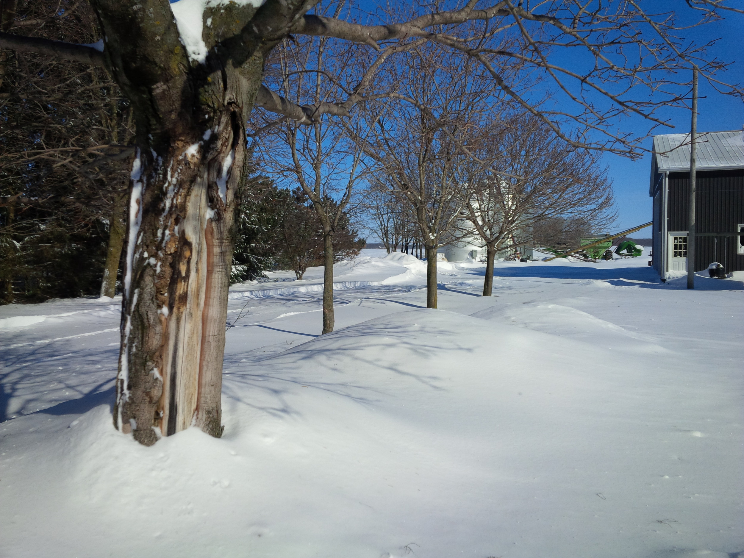 IMG_20150202_125334.jpg