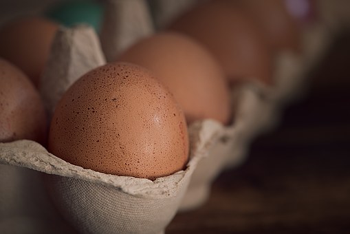 egg-1265763__340.jpg