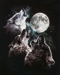 3 Wolves