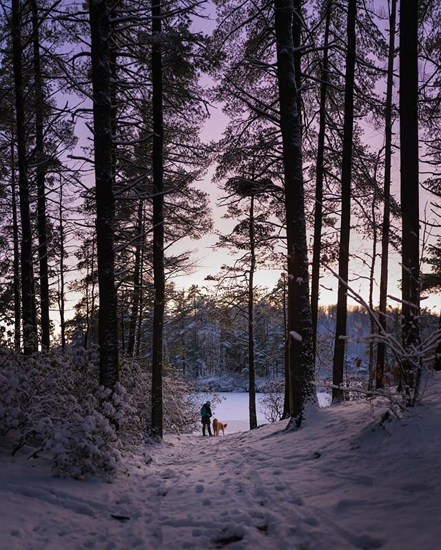 Winter in the northeast can be harsh, unpredictable and dark. It also provides some of the most beautiful moments imaginable. Alexandra, Oliver and I packed down some single track after work and took a break to watch the amazing colors cast over a fr