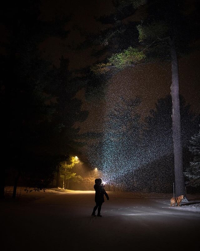 Late night snow walks around the sprawl. My neighborhood looks like something right out of an @amblin film on nights like this. This is a light test for the new prop wireless strobe flashlight I built.
.
.
#photography #cinematography #night #landsca