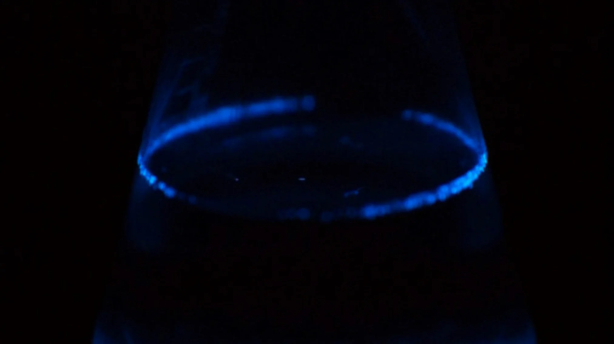 Cold Fire: pyrocystis fusiformis