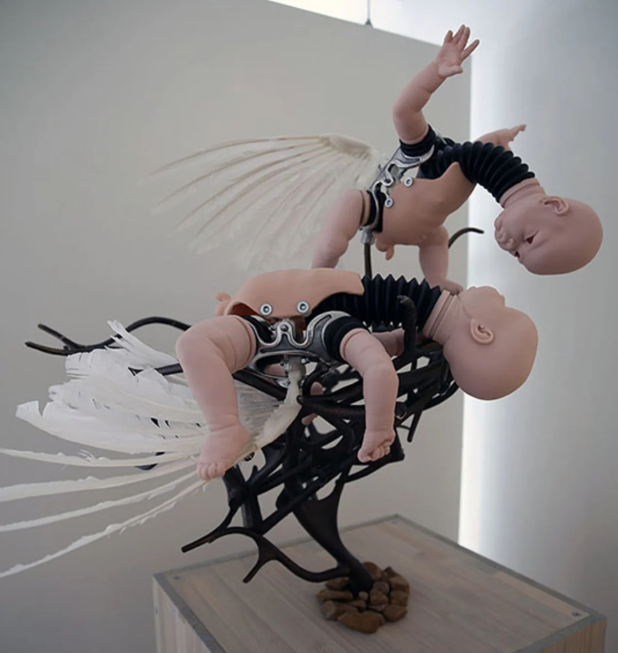 Siblicide: Cain, Abel and the Masked Booby. P(m) = {1-Mv/m if m˃mv