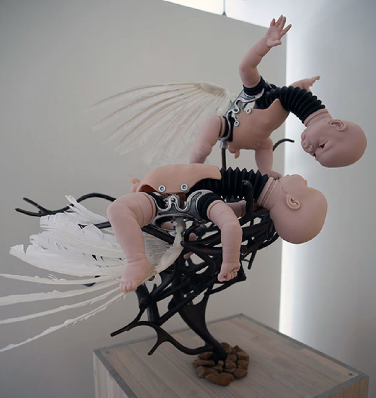 Siblicide: Cain, Abel and the Masked Booby. P(m) = {1-Mv/m if m˃mv