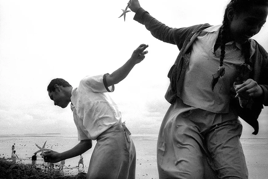 ‘Starfish’ from the series Polynesia