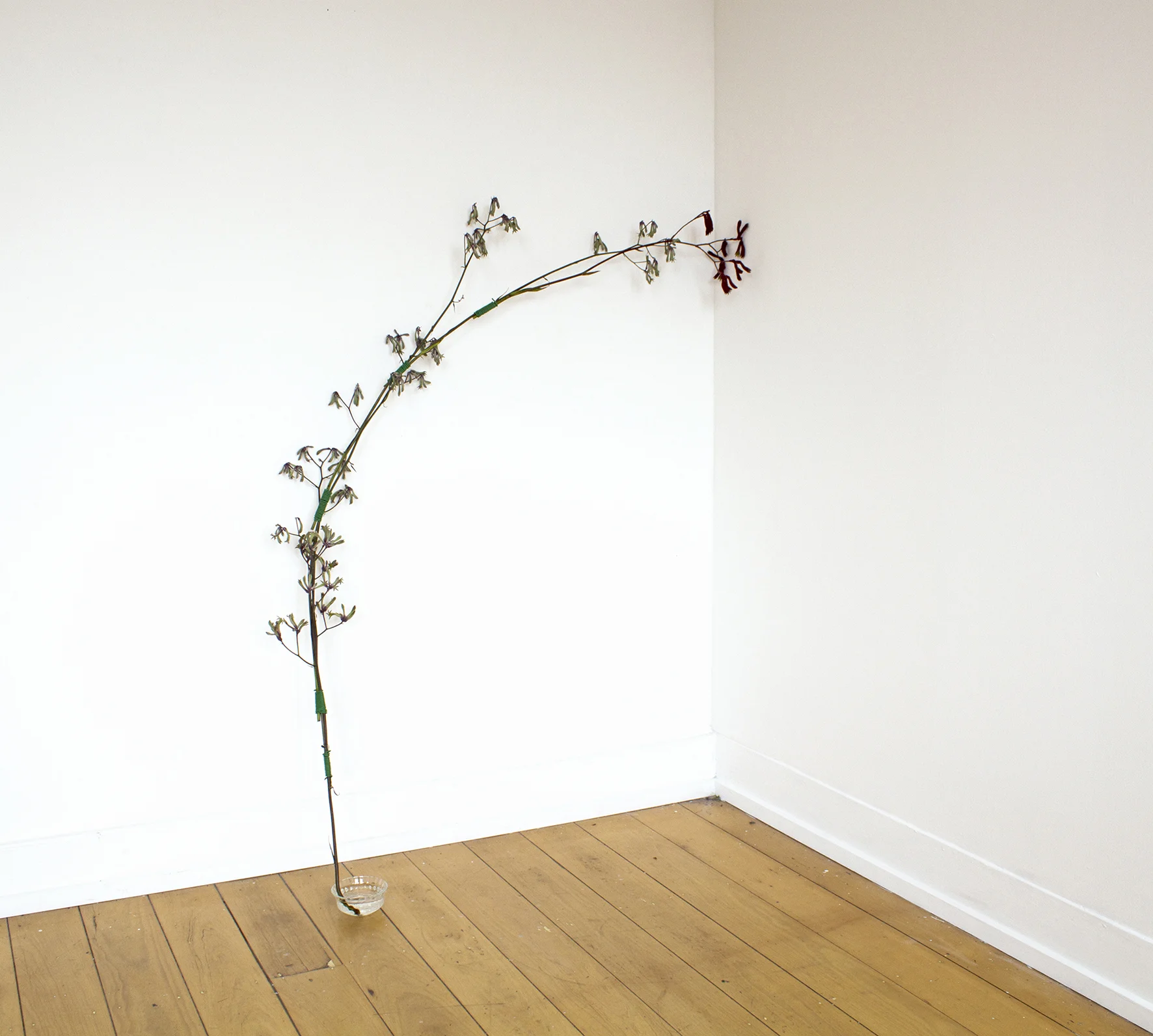 Untitled #6 (from the series the world is weary of me and I am weary of it)