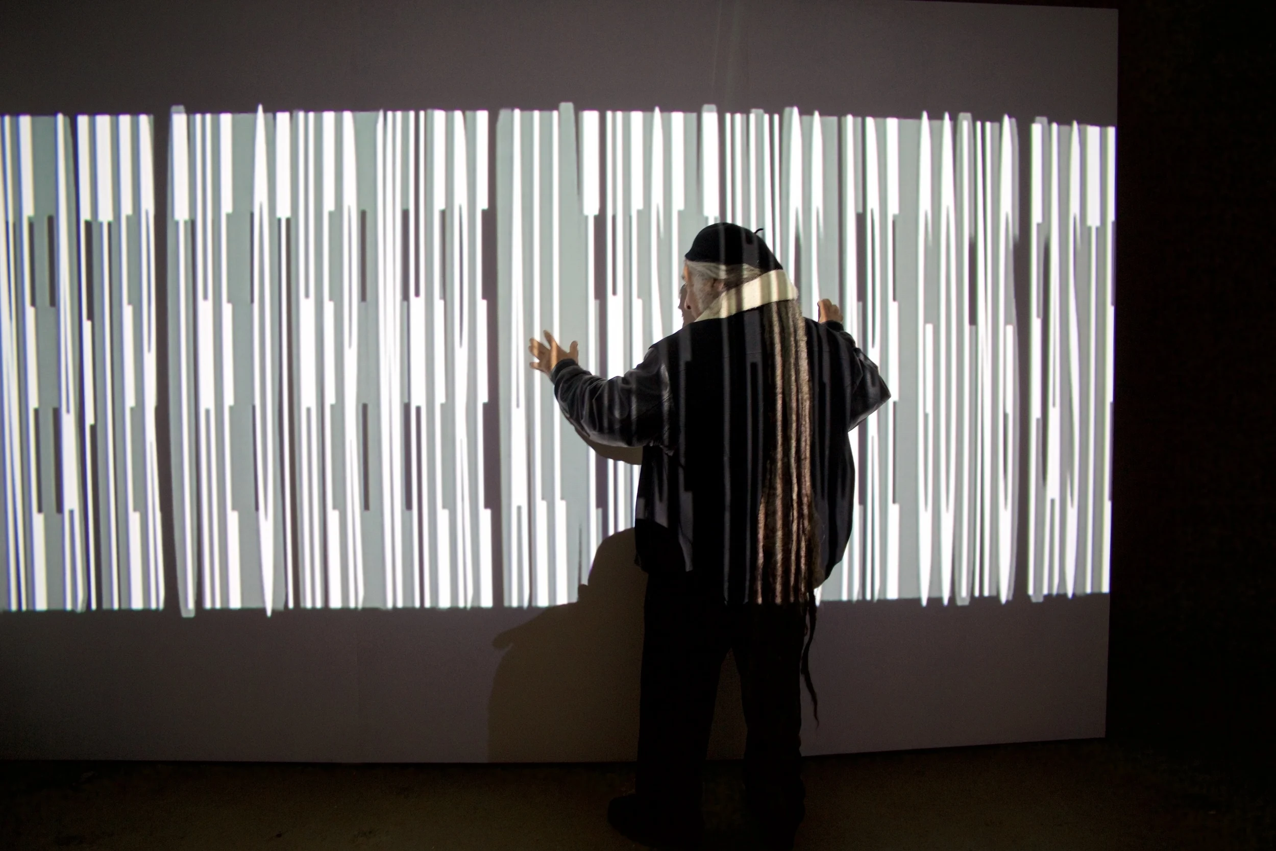 Willoughby Visual Arts Biennial 2015 Robyn Backen