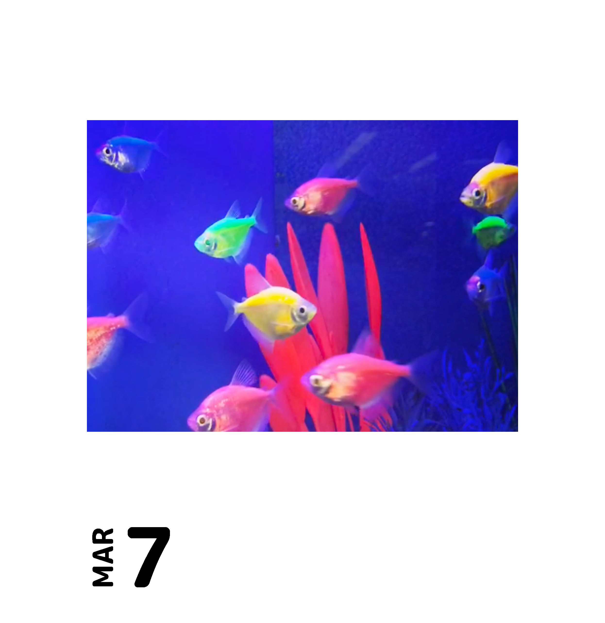 ₃ March (1)_Page_07.png