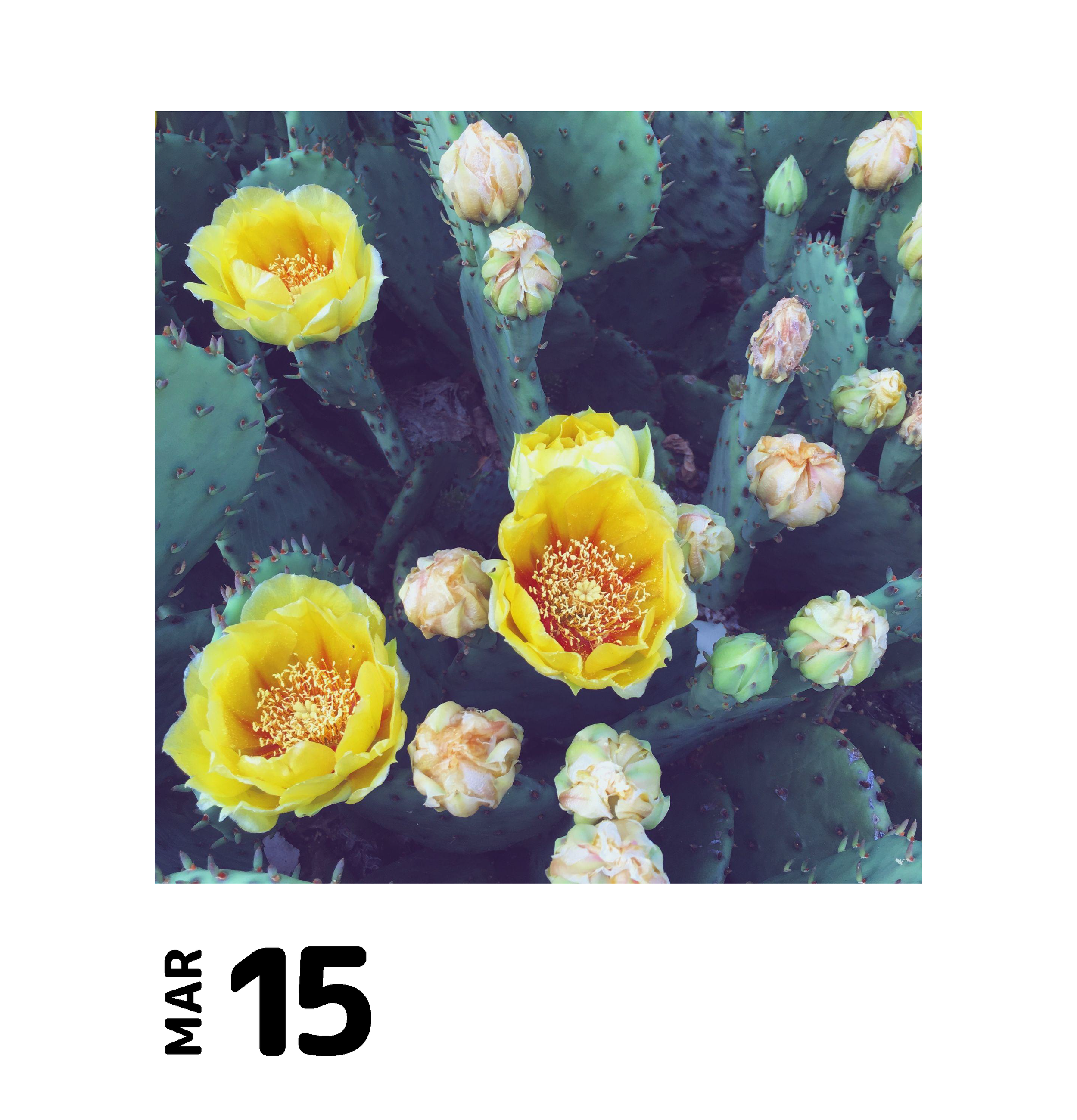 ₃ March (1)_Page_15.png