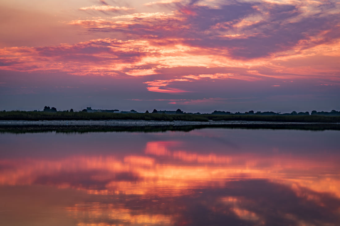 Reflected Passion