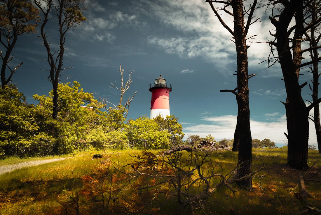 Cape Cod Trail Mix