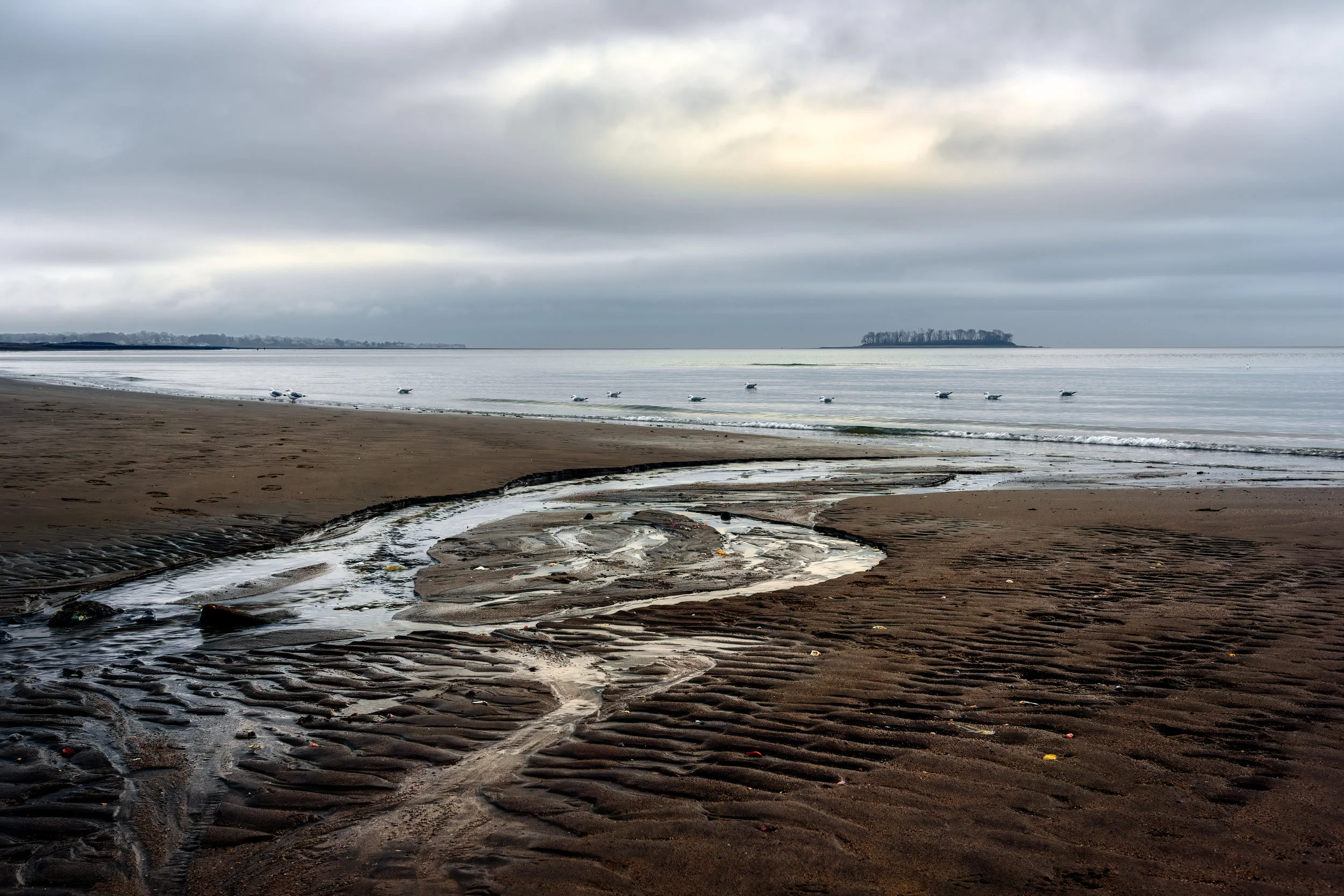 It’s time for me to go even though the light is still soft and diffused. One final frame of Charles Island, seagulls swimming in a line, water draining into the Sound, just another morning at the beach but not for those who open their hearts and minds.