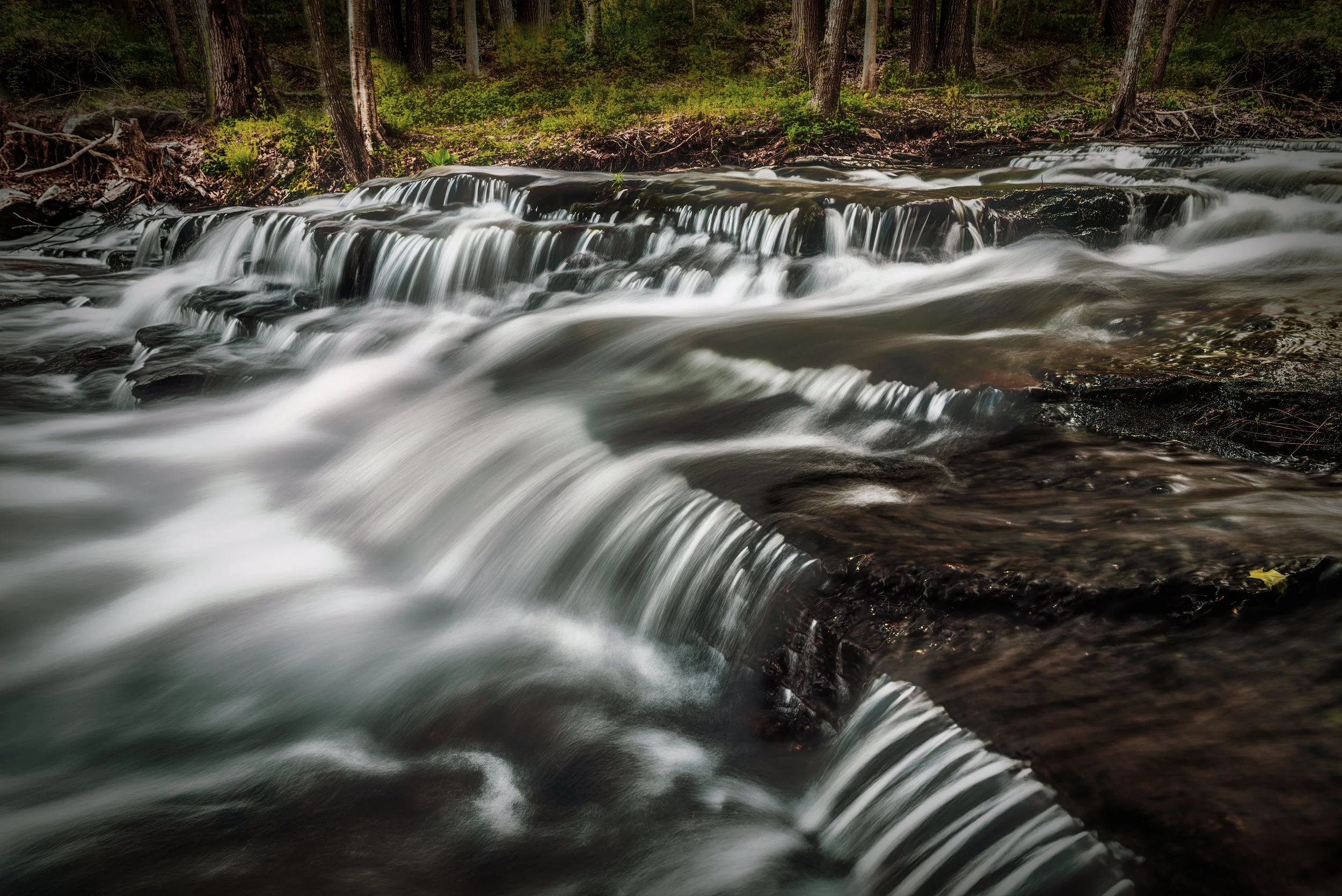 Make sure you have some lens wipes with you as well. Because you will need to get close, there is a chance that some water droplets will get splashed onto your lens or polarizer if you have one attached, which you should in order to control glare and bring out the colors of the moss and surrounding woods.