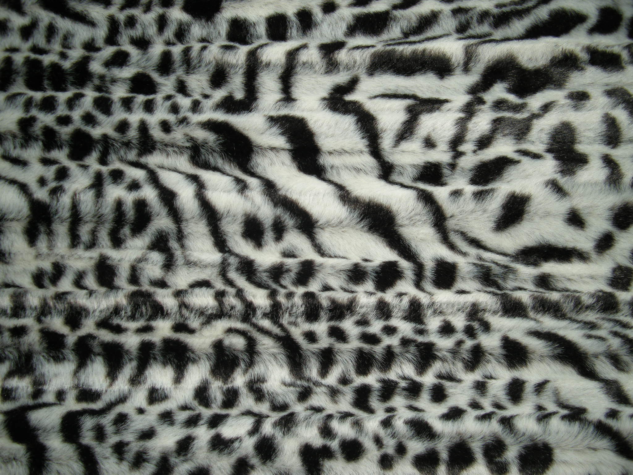 Zaire Cascade  1000.JPG