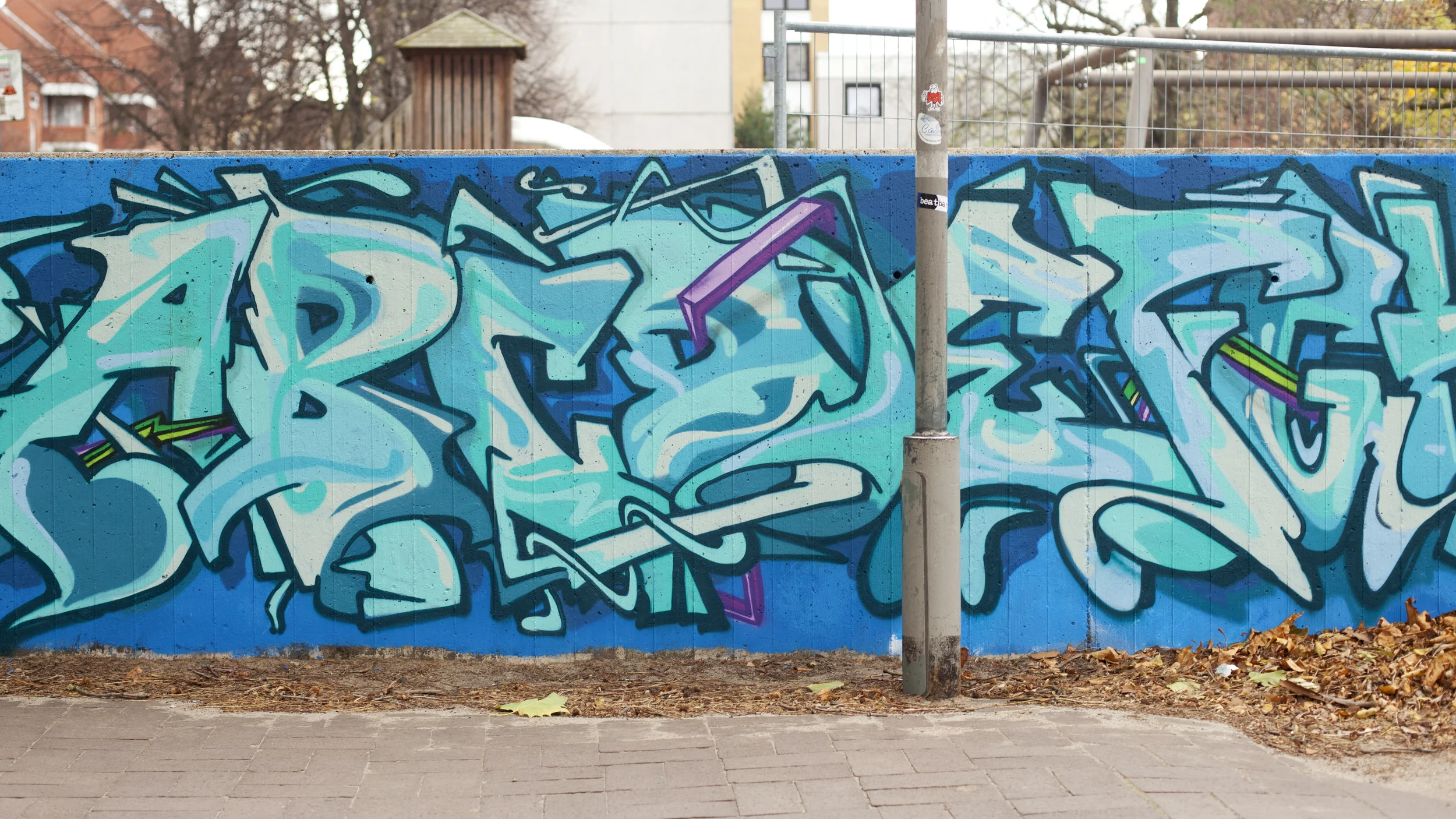 _MG_2864.jpg