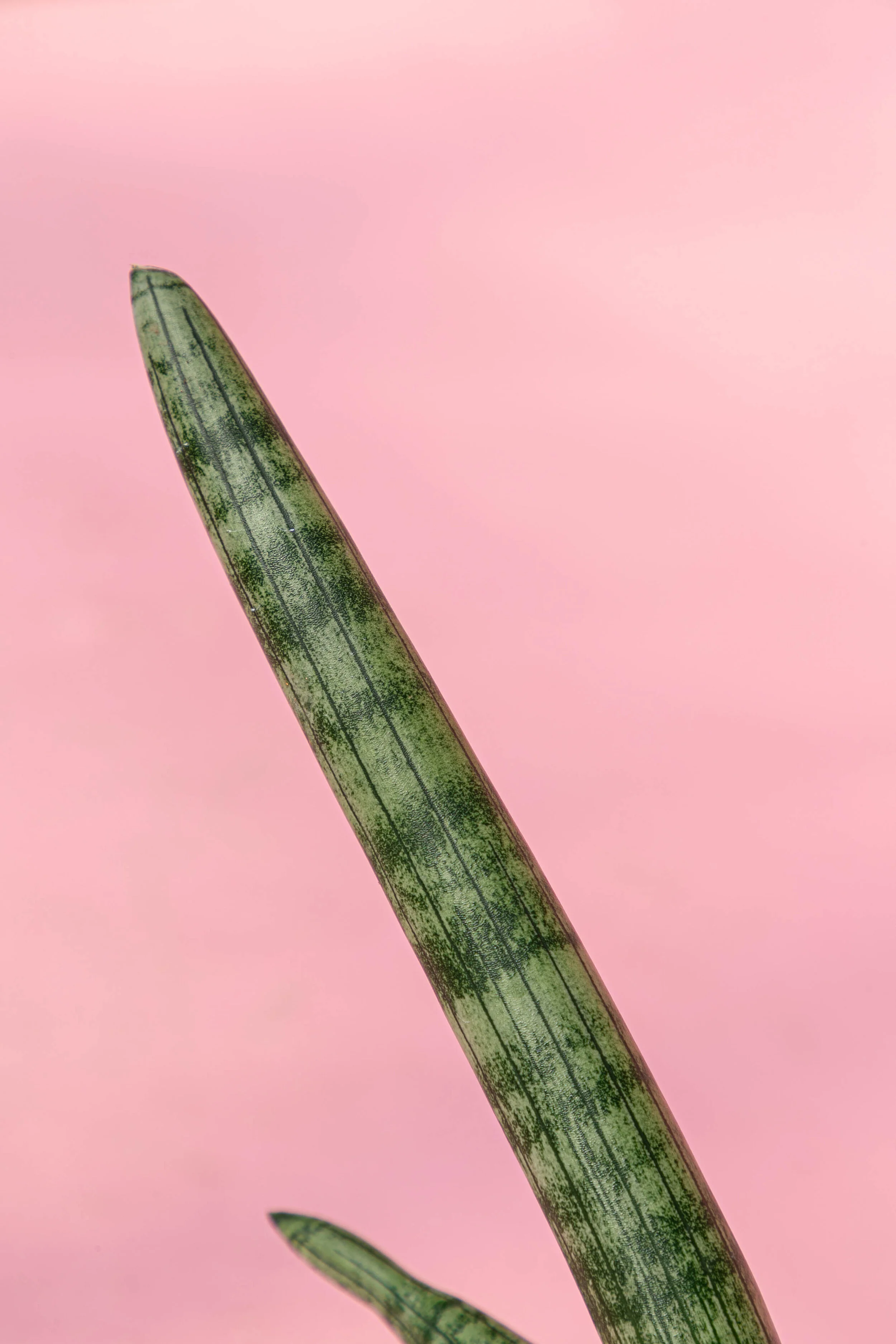 1DDD9749.jpg