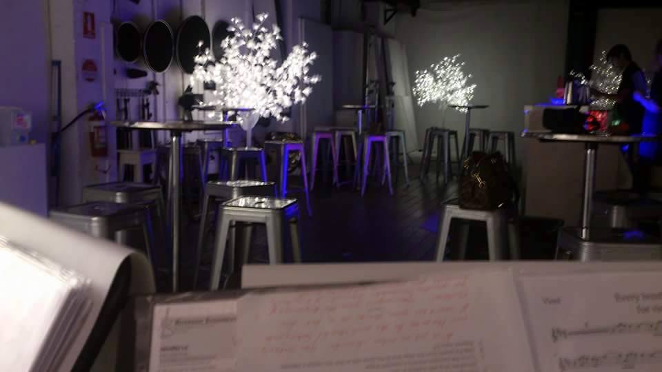 Julie 60th Birthday 4 Hire Harpist String Quartet Wedding Music Perth www.RiversideEnsembles.com.au.jpg