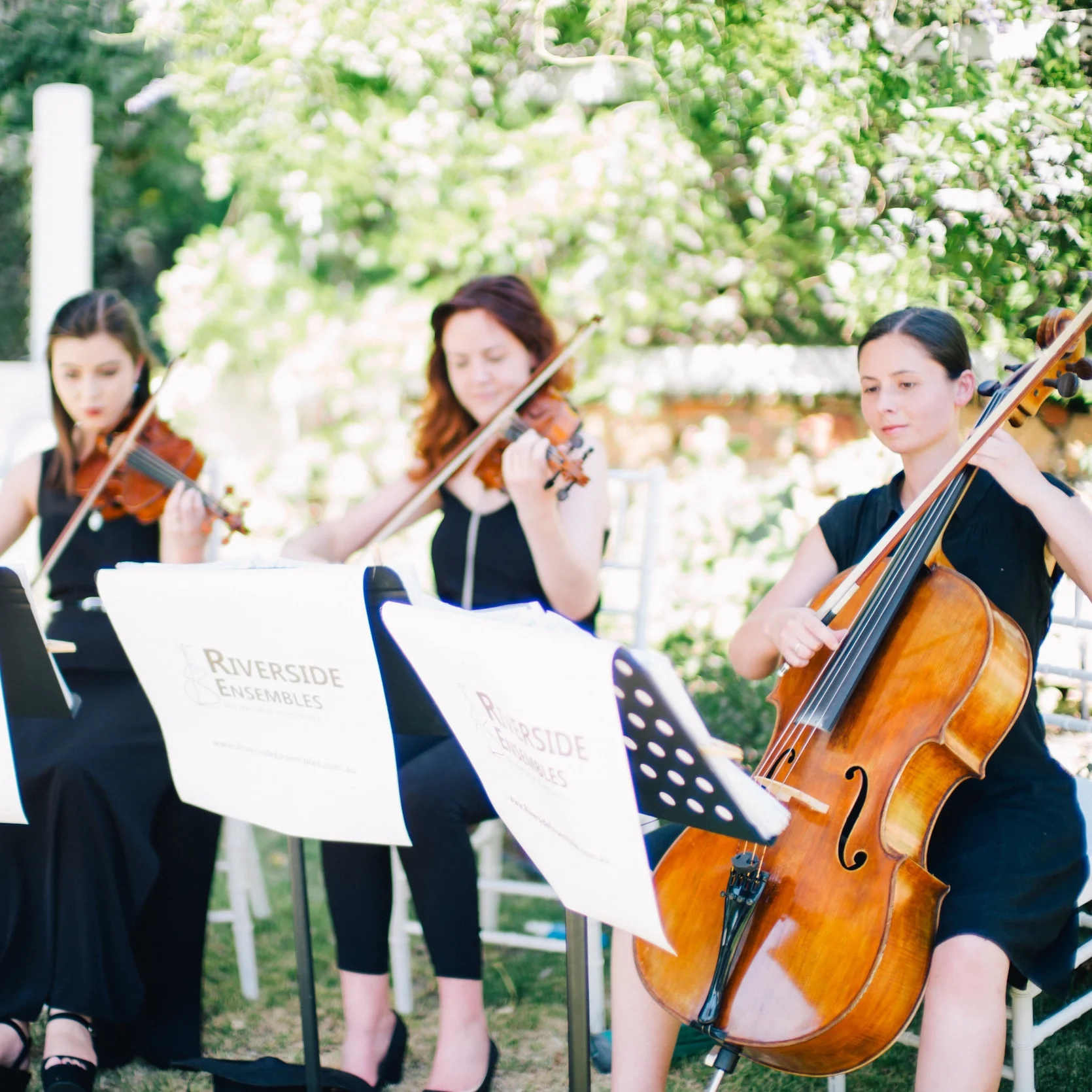 Wedding Event Musicians Riverside Ensembles GALLRY Wedding event musicians riverside ensembles gallry