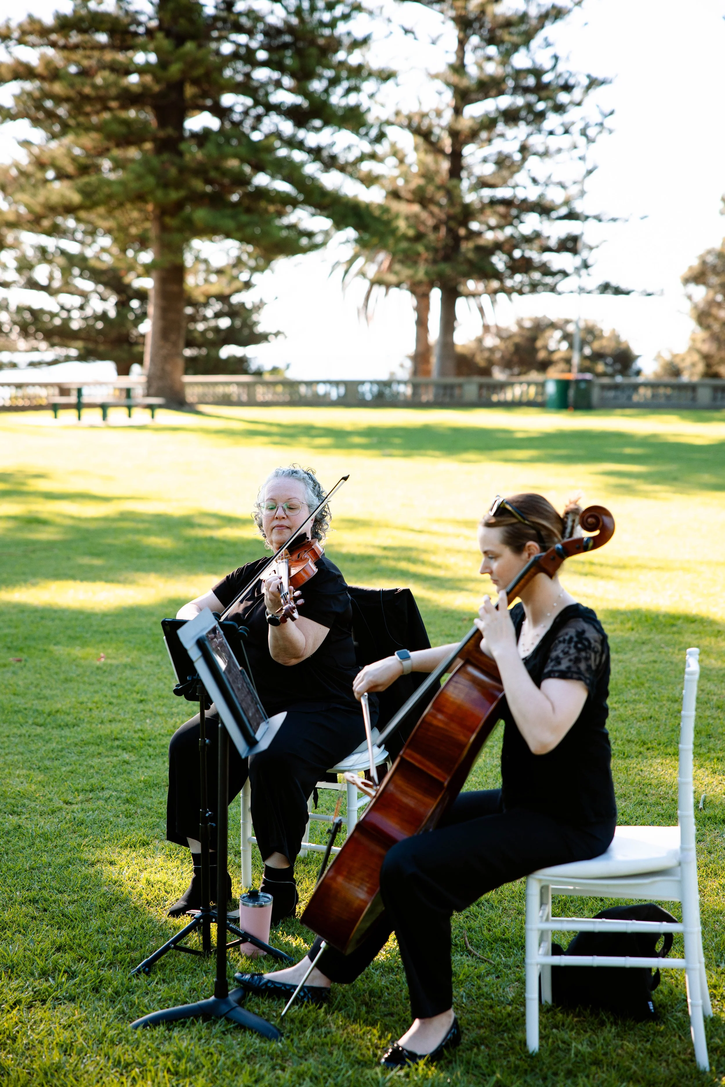 What have we been up to? (part 2)