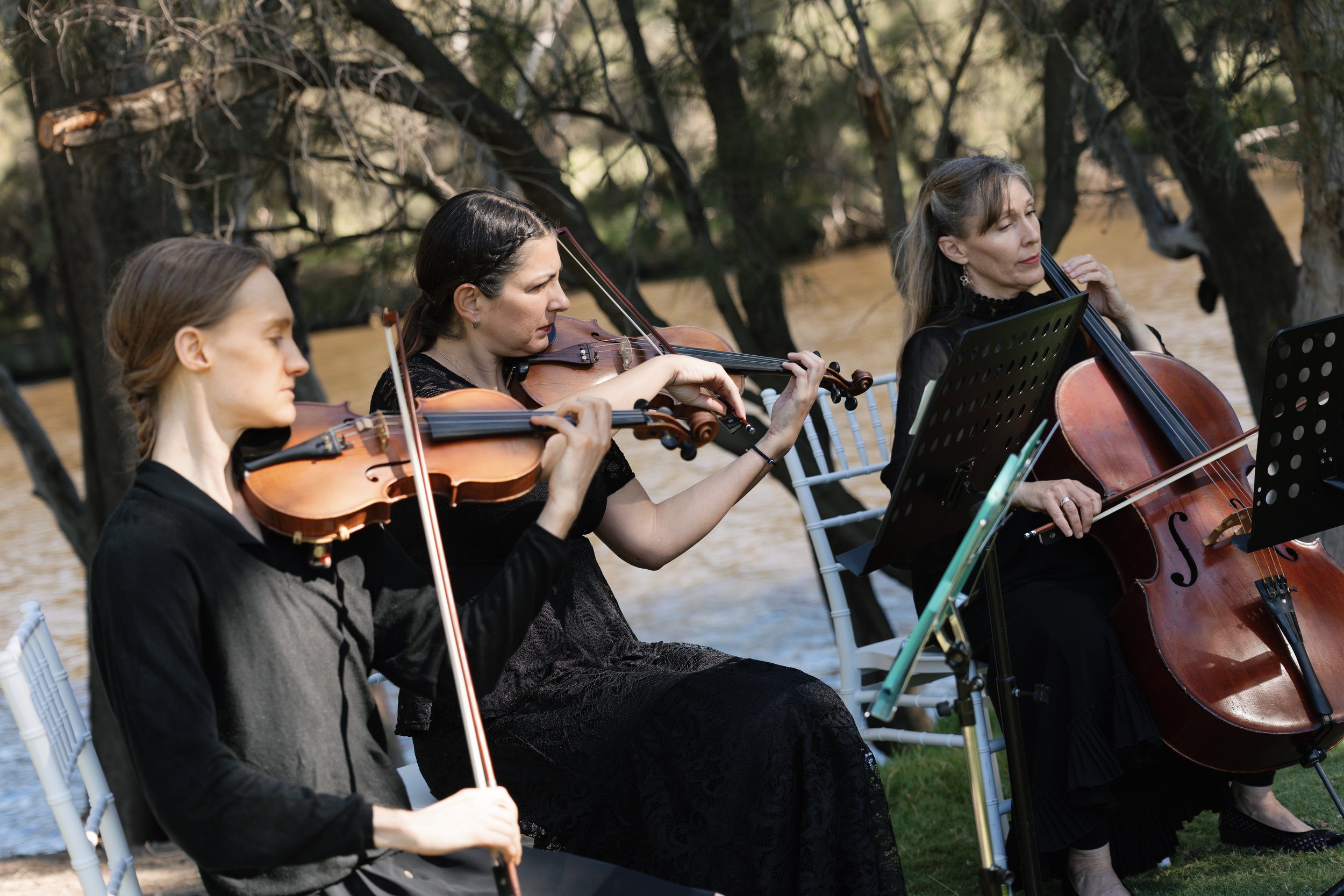 string musicians trio mulberry estate perth wedding