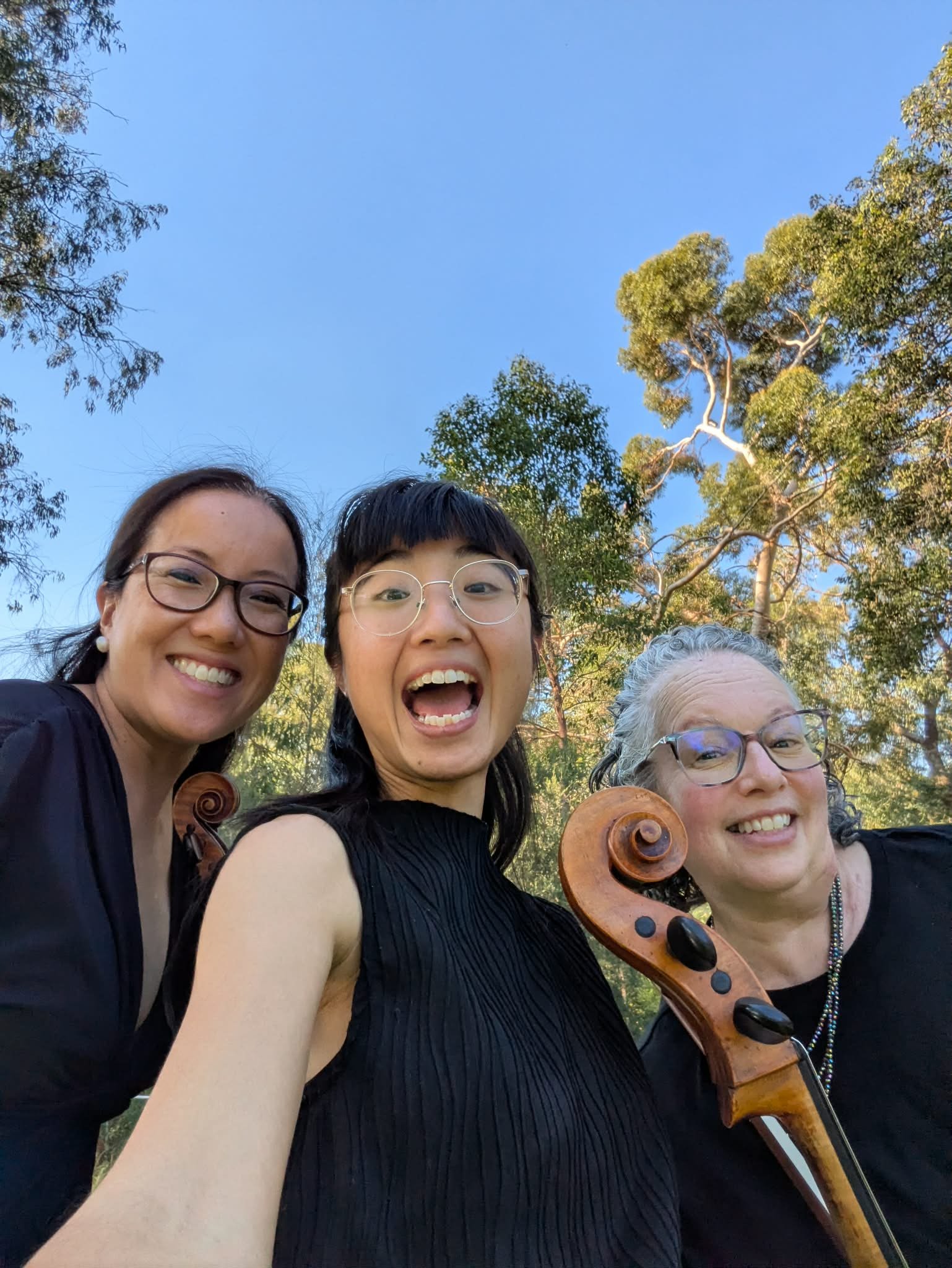 cellist string musicians violin cello wedding kings park