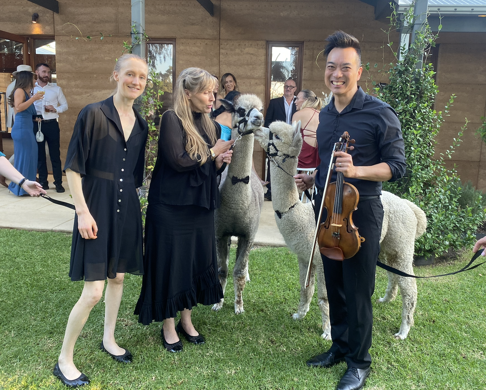 lily farm house alpaca string trio quartet musicians wedding