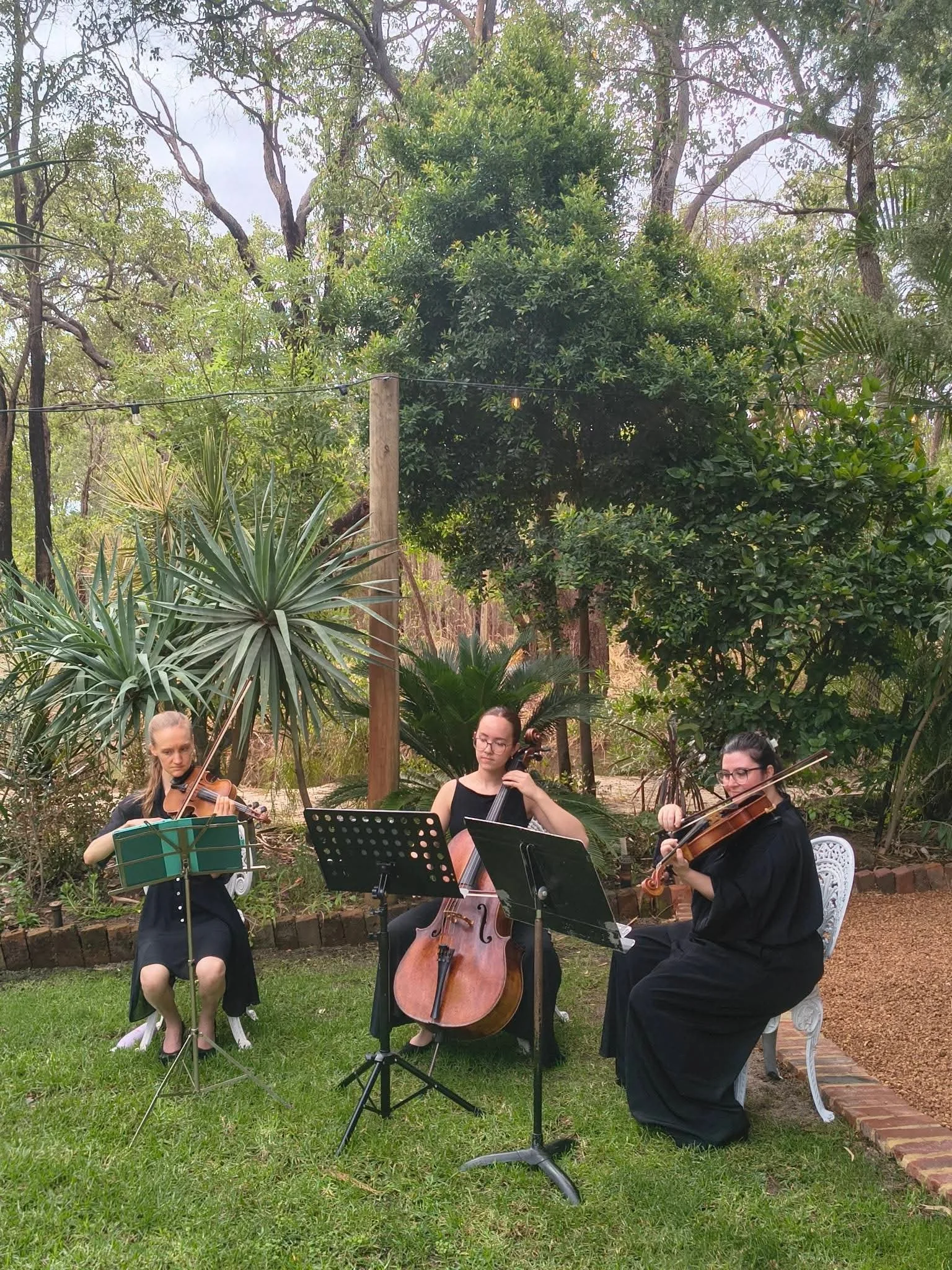 string musicians perth wedding