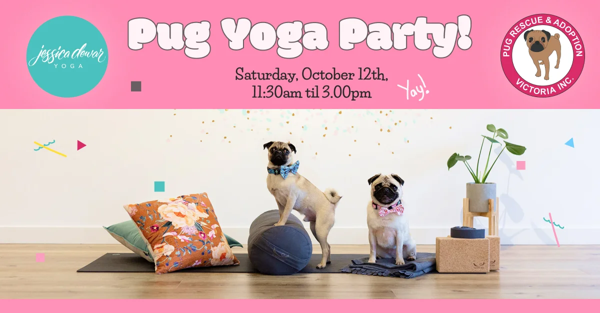 Pug Yoga Party_ Jessica Dewar Yoga and Pug Rescue & Adoption (1).jpg