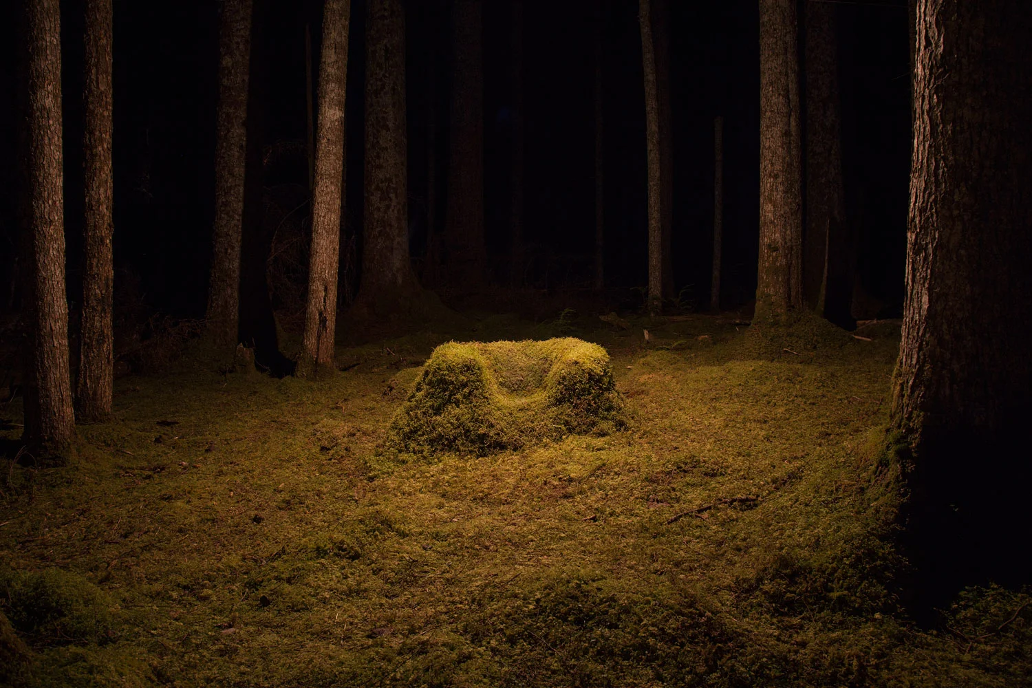 "Moss Chair", photographed in 2017.