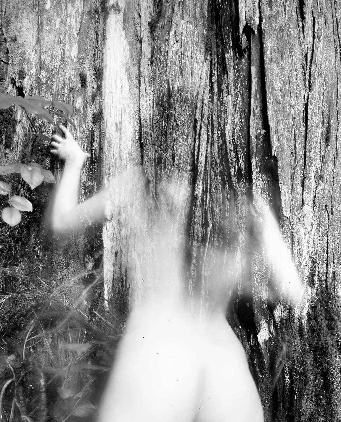 large format film photograph, 2013