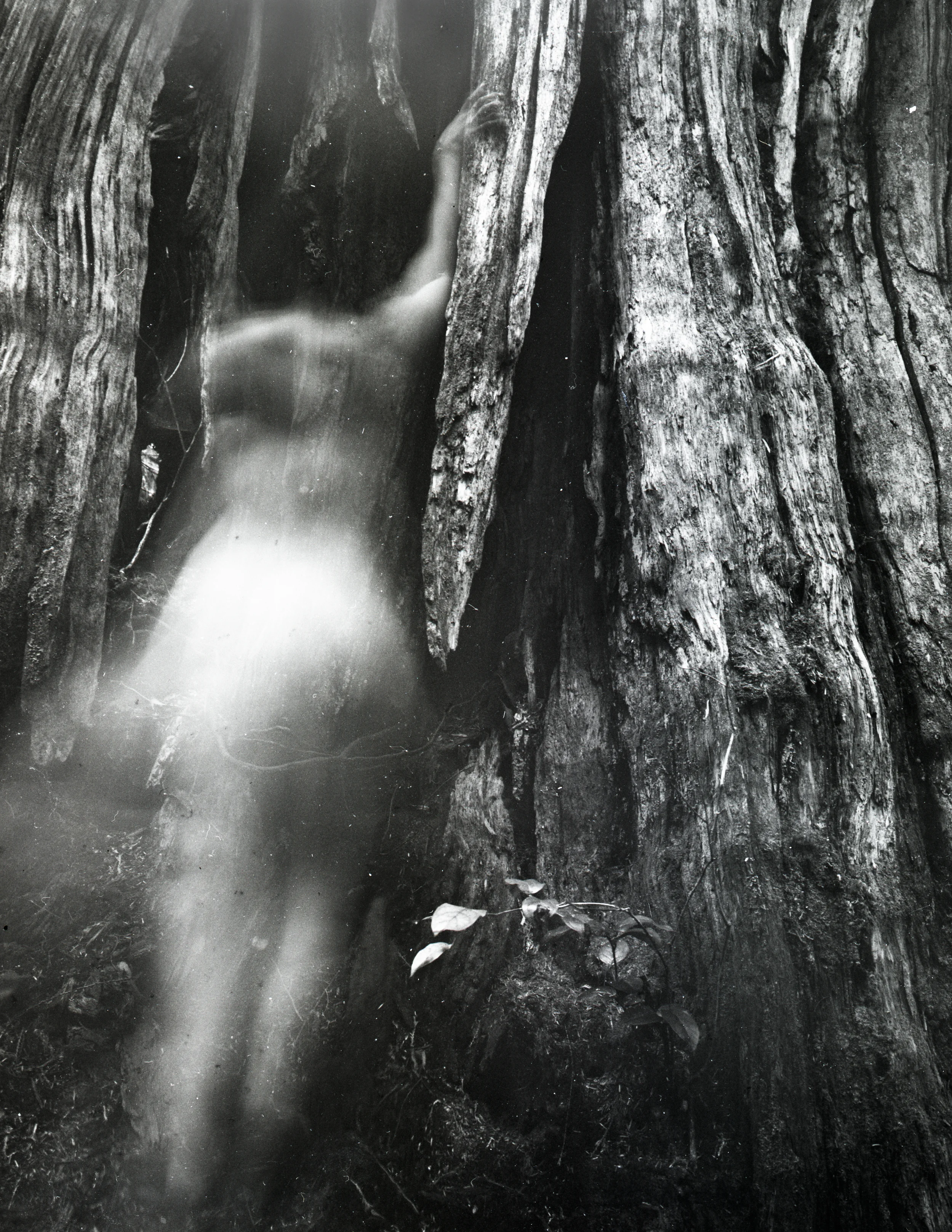large format film photograph, 2014