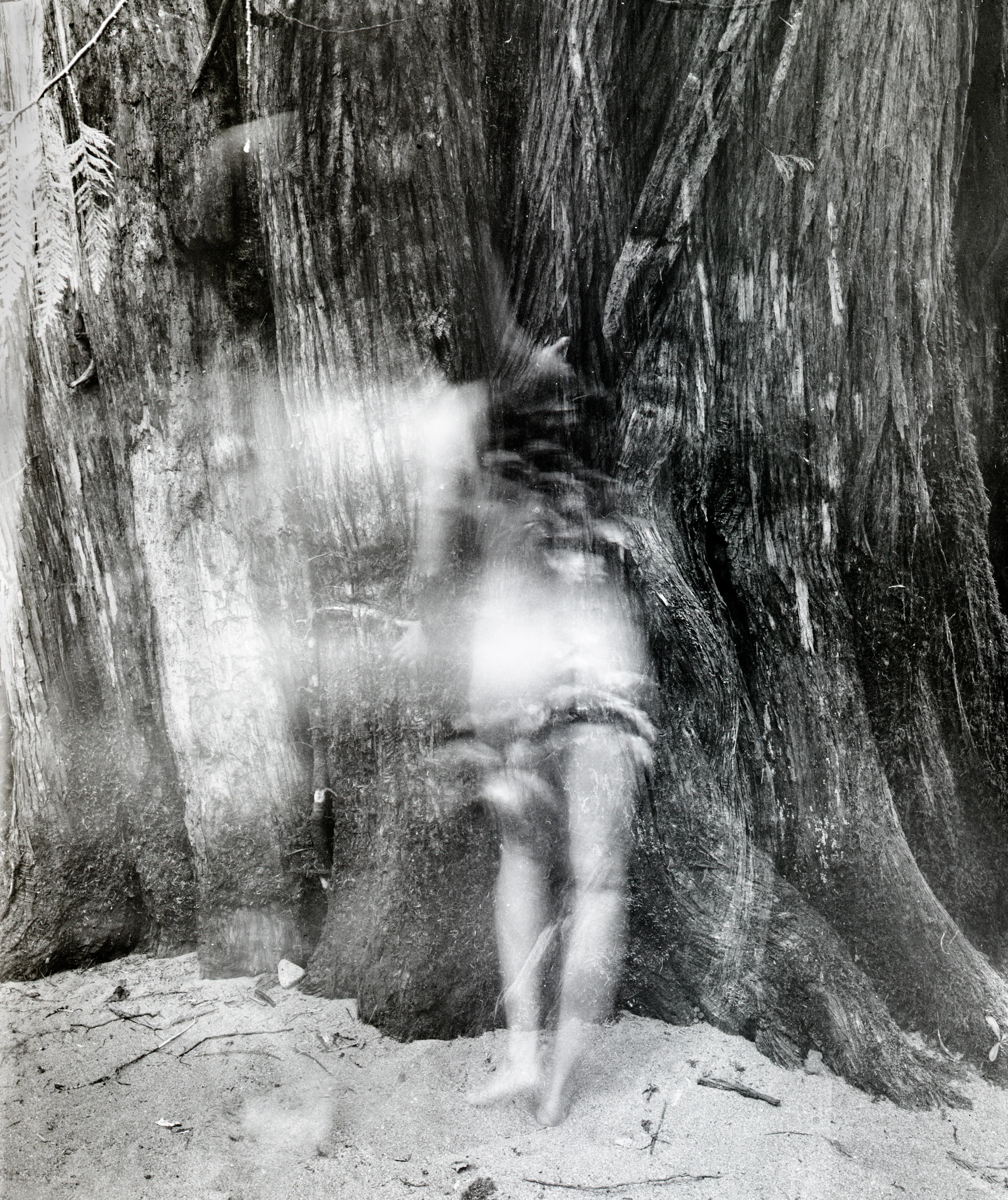 large format film photograph, 2014