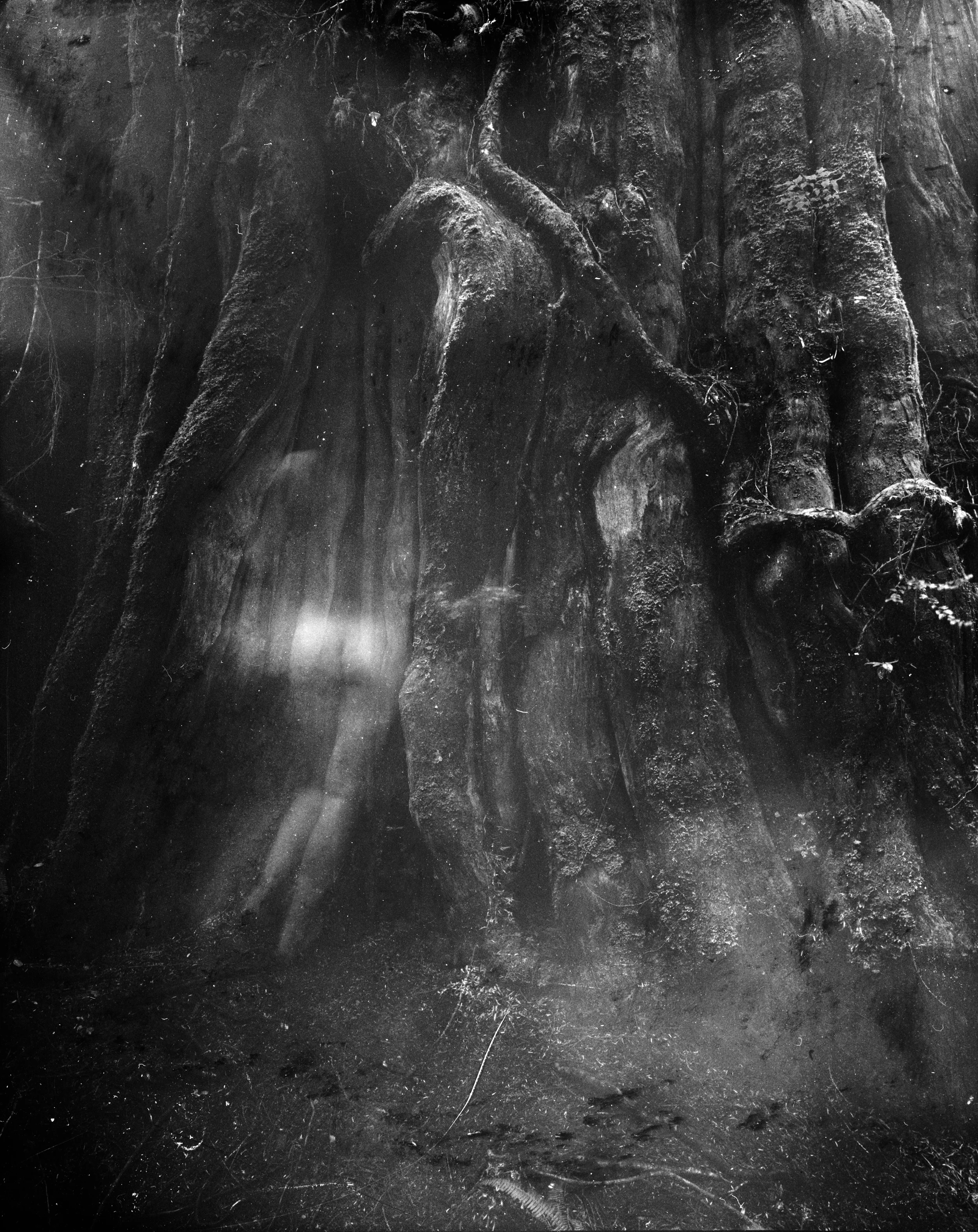  large format film photograph, 2014 