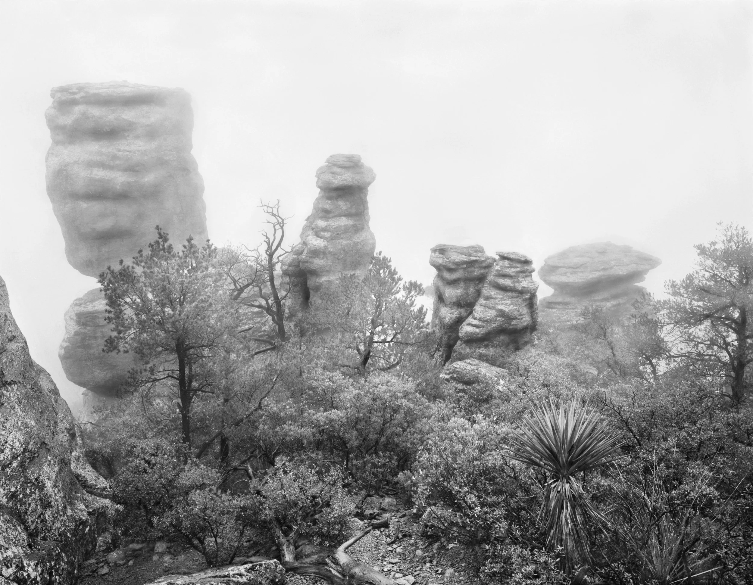 foggy-pillars-blurb.jpg