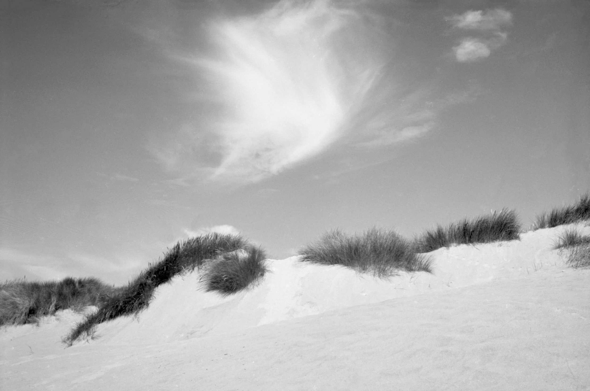 35_07_oregon-cloud-wisp.jpg